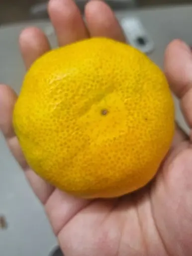 20240818%EF%BC%BF070205.jpg?type=w386