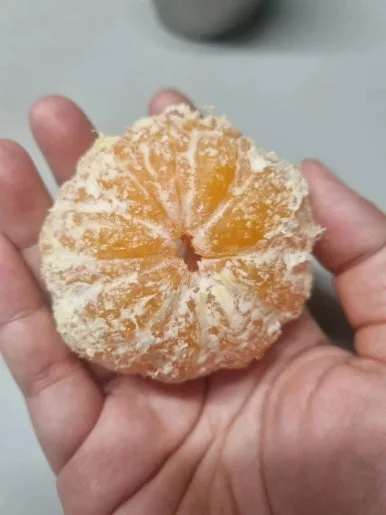 20240818%EF%BC%BF070236.jpg?type=w386