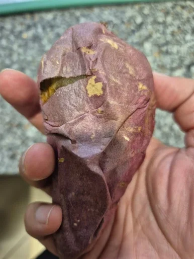 900%EF%BC%BF20250109%EF%BC%BF171906.jpg?type=w386