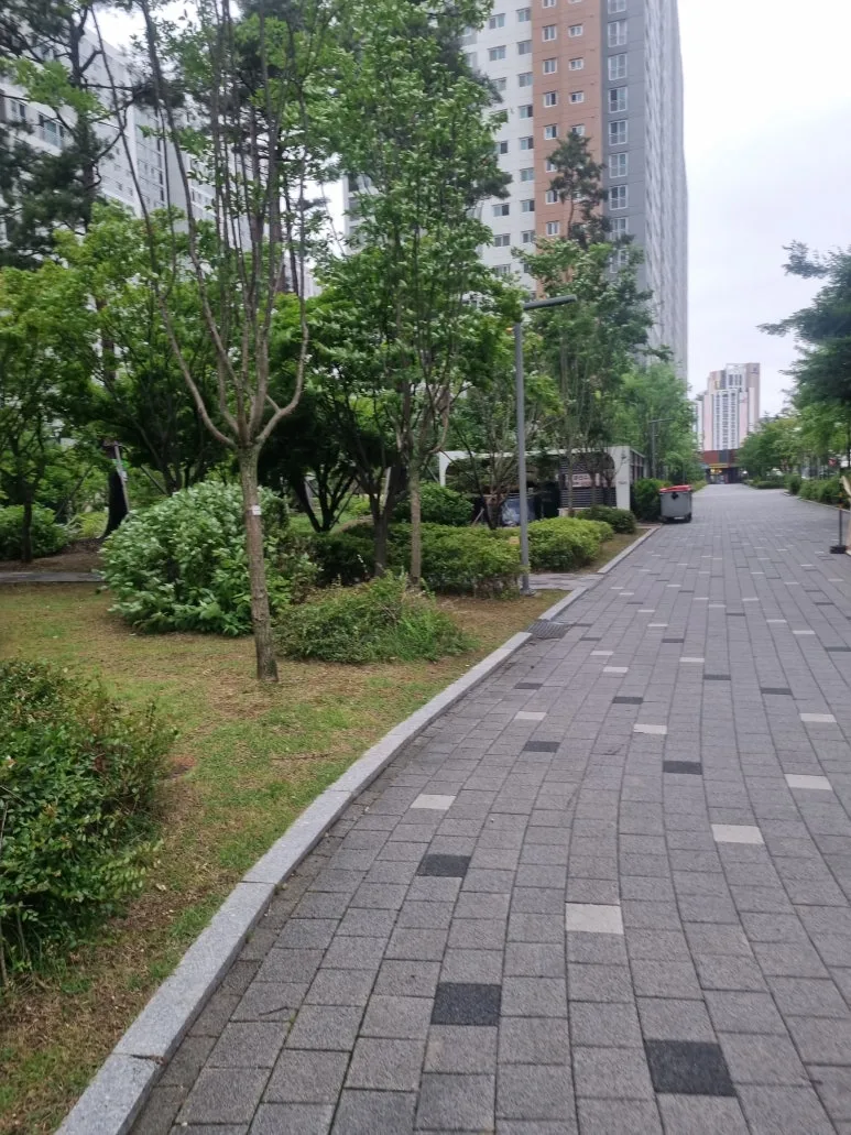 20240630%EF%BC%BF085808.jpg?type=w773