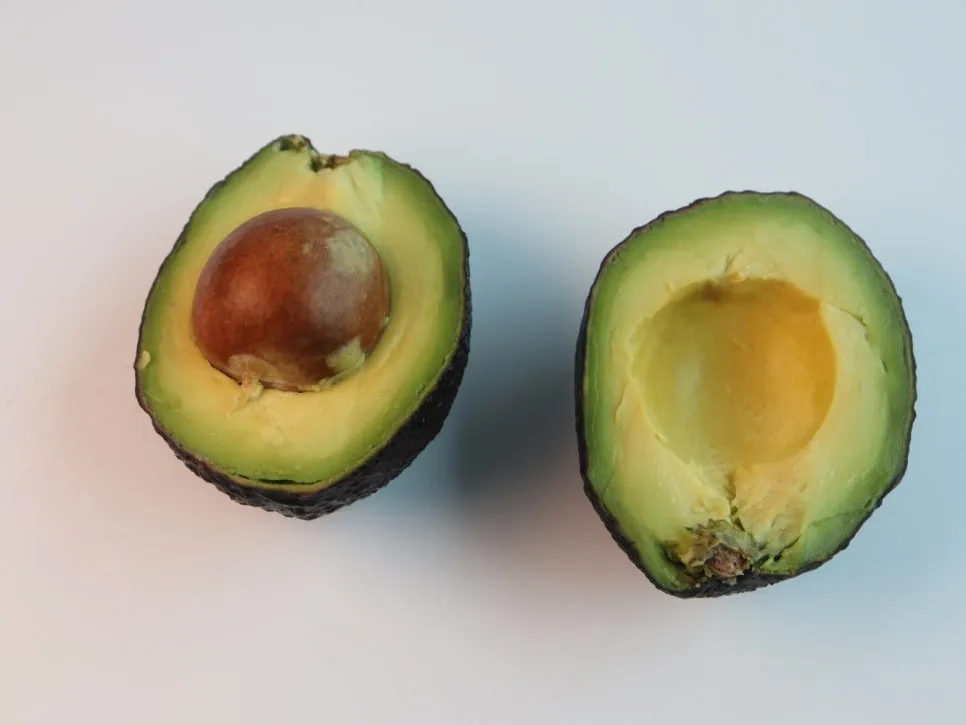 SE-52807eda-dfae-401b-8761-8e91f41b792b.jpg?type=w966