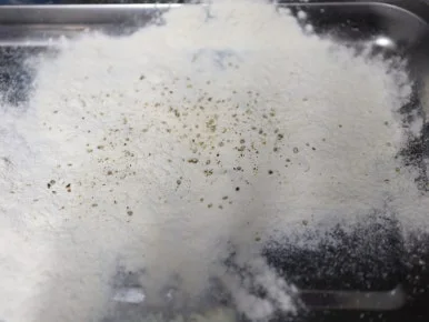 20240409031951%EF%BC%BFIMG%EF%BC%BF5549.JPG?type=w386&jopt=2