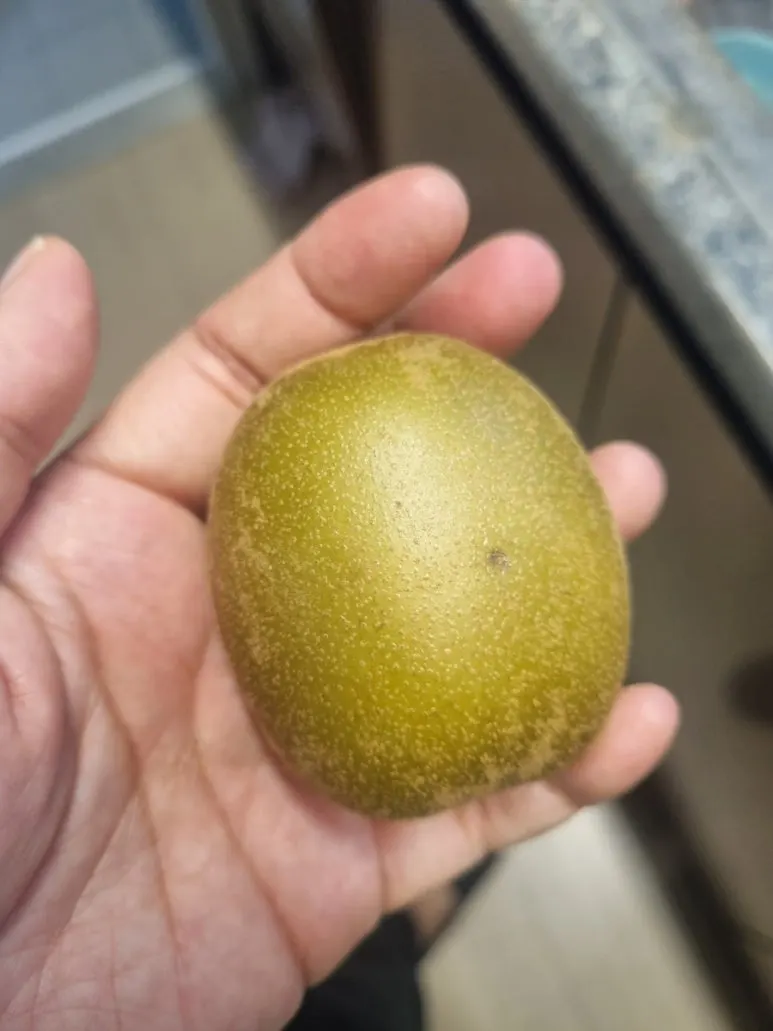 20240911%EF%BC%BF072251.jpg?type=w773