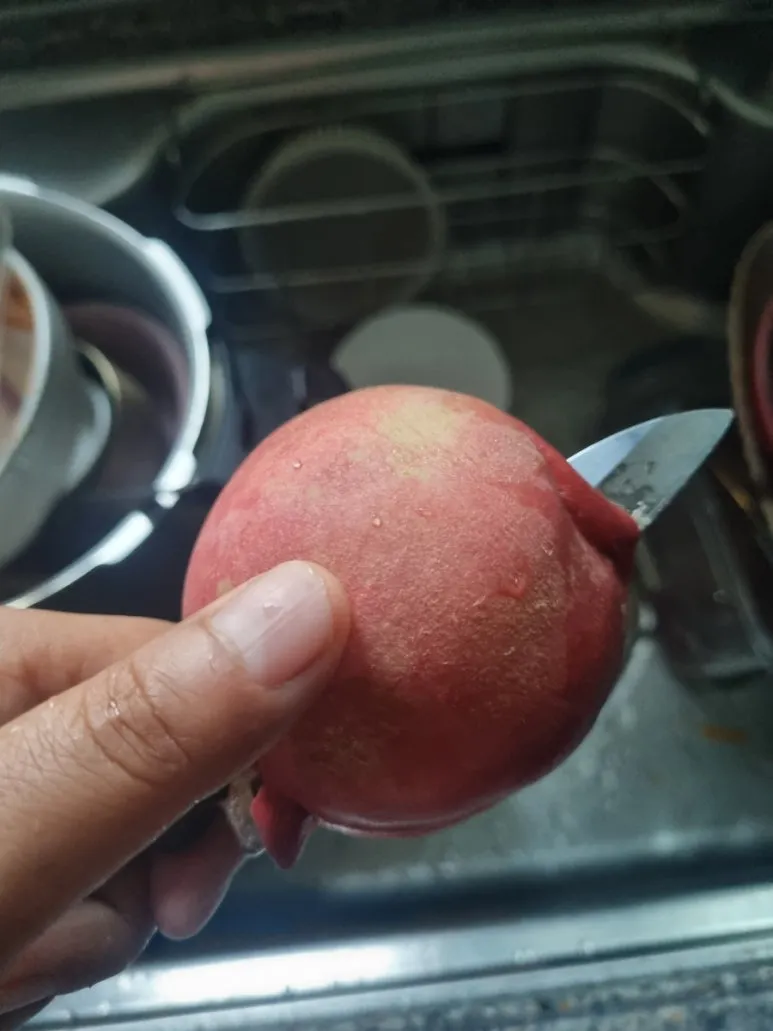 20240820%EF%BC%BF064742.jpg?type=w773