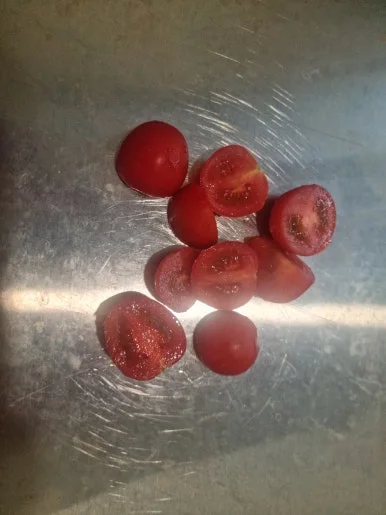 20241029%EF%BC%BF081540.jpg?type=w386