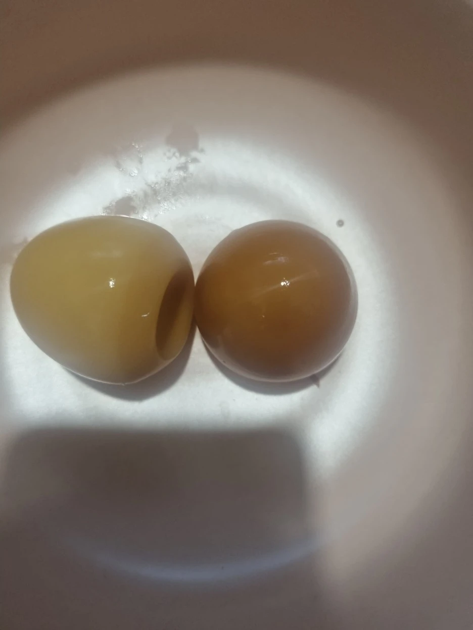 20240130%EF%BC%BF090138.jpg?type=w1