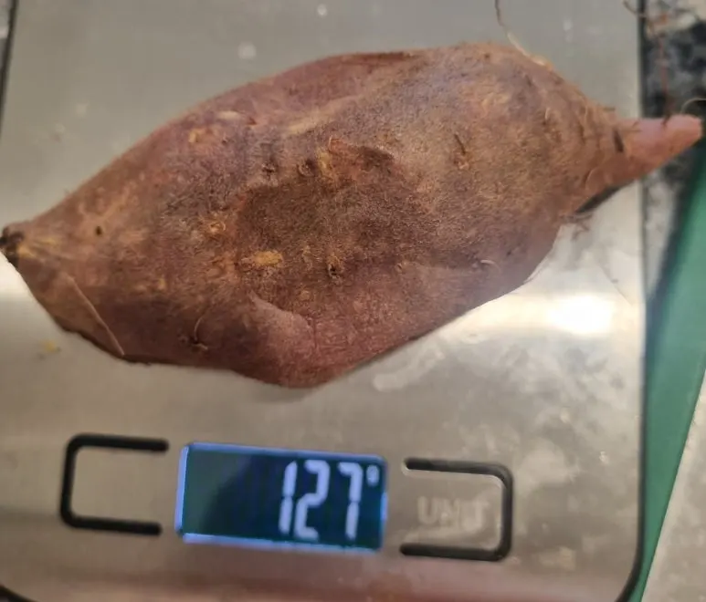 1720782888756.jpg?type=w773