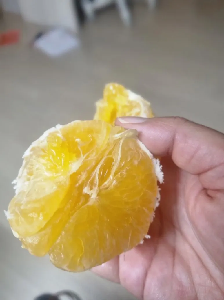 20240921%EF%BC%BF065129.jpg?type=w773