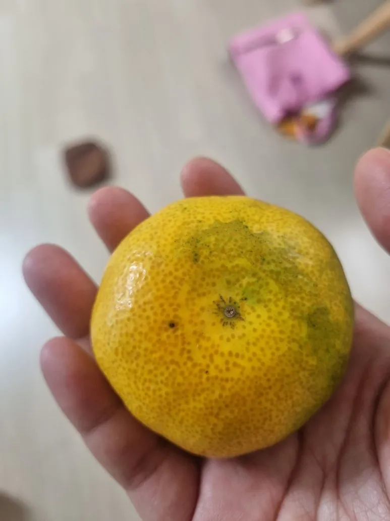 20240823%EF%BC%BF095137.jpg?type=w773