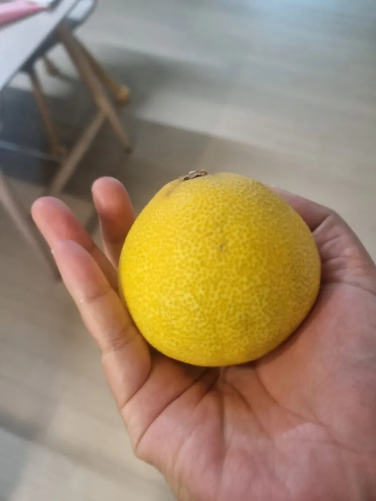 20240922%EF%BC%BF073731.jpg?type=w773