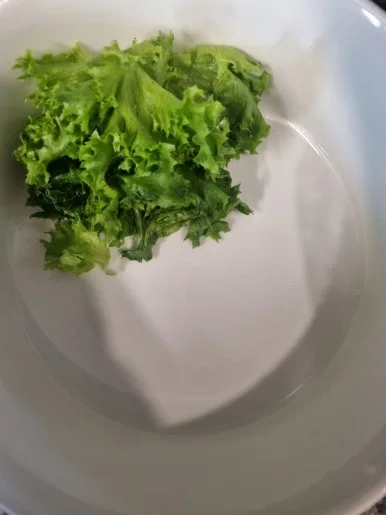 20240724%EF%BC%BF182659.jpg?type=w386