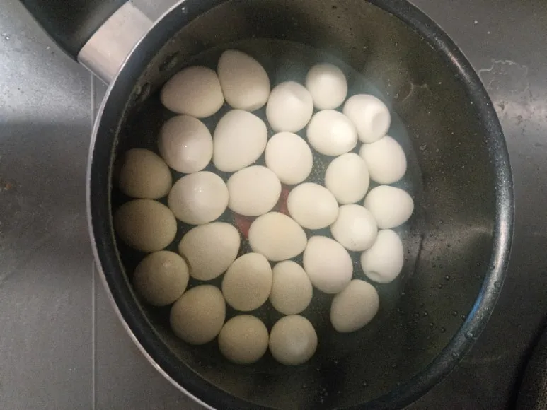 20241026%EF%BC%BF083206.jpg?type=w773