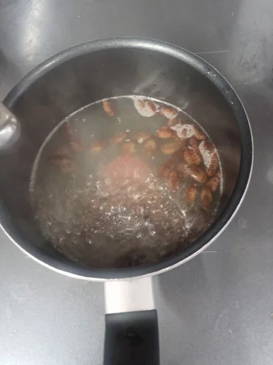 20241014%EF%BC%BF174631.jpg?type=w386