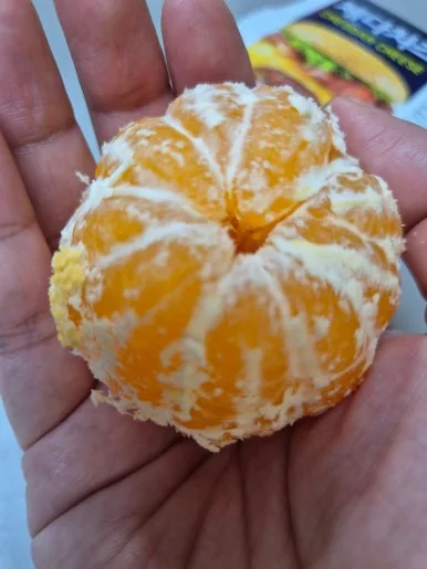 900%EF%BC%BF20241217%EF%BC%BF171647.jpg?type=w386