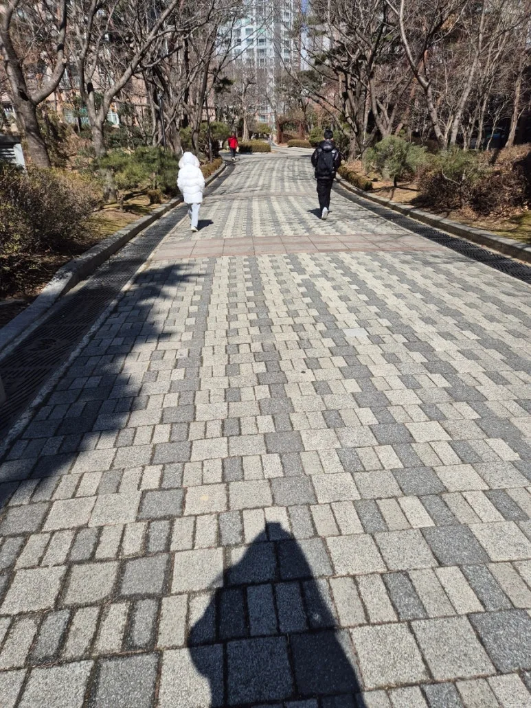 900%EF%BC%BF20250224%EF%BC%BF123813.jpg?type=w773