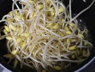 20240625164102%EF%BC%BFIMG%EF%BC%BF8971.JPG?type=w386