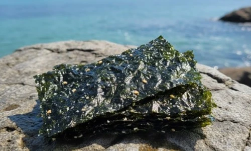 ?src=%22https%3A%2F%2Fblogthumb.pstatic.net%2FMjAyNTEyMTJfMTY5%2FMDAxNzY1NTI4NjgwMDk5.0ASpFKZbzhnPF6lTq9f5wSNSoRudJcJfV7I1lQZ43CQg.X092wZRuEYMfyAqy2J04ibZEzPJj5btEfaHDA-Ife9Yg.JPEG%2F%25B1%25E8%25C0%25CC%25B9%25CC%25C1%25F6.jpg%3Ftype%3Dw2%22&type=ff500_300