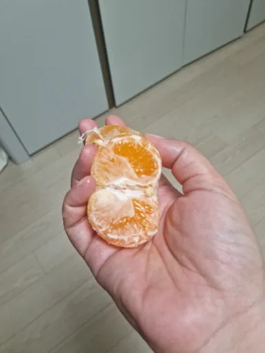 20241029%EF%BC%BF063035.jpg?type=w386