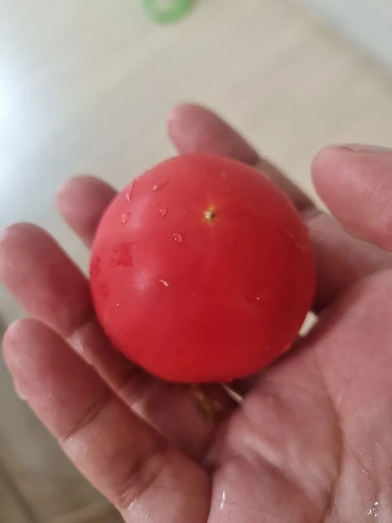 20240818%EF%BC%BF175551.jpg?type=w773