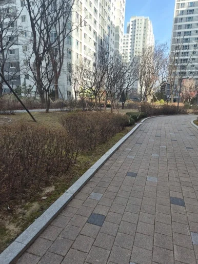 900%EF%BC%BF20250118%EF%BC%BF124846.jpg?type=w386