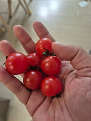 900%EF%BC%BF20250118%EF%BC%BF140702.jpg?type=w386