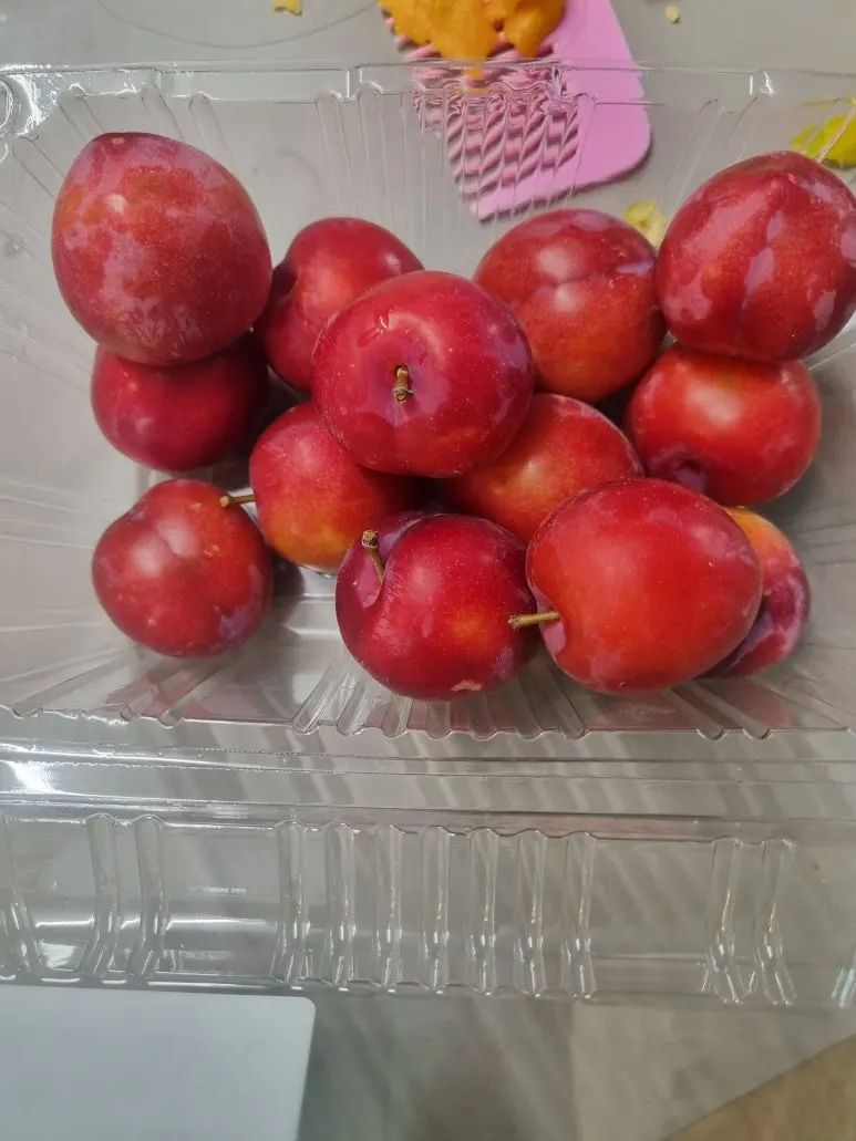 20240628%EF%BC%BF164132.jpg?type=w773