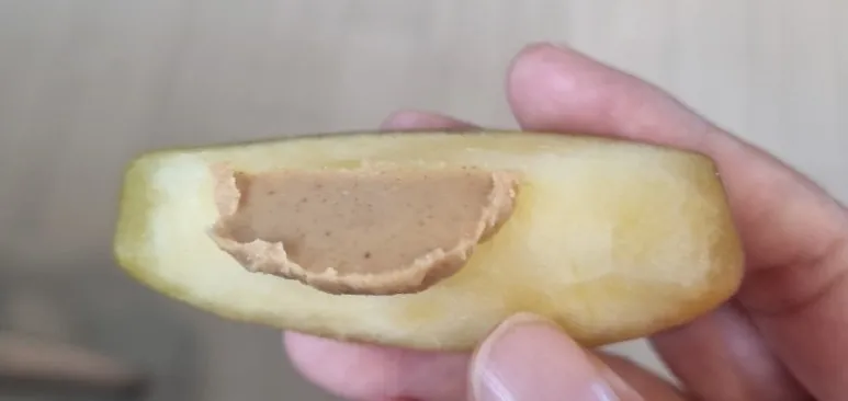 SE-c440c6ff-a4b5-11ef-835c-9fe6c339fe4b.jpg?type=w773