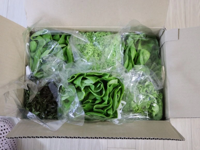 20240417034018%EF%BC%BFIMG%EF%BC%BF6218.JPG?type=w773