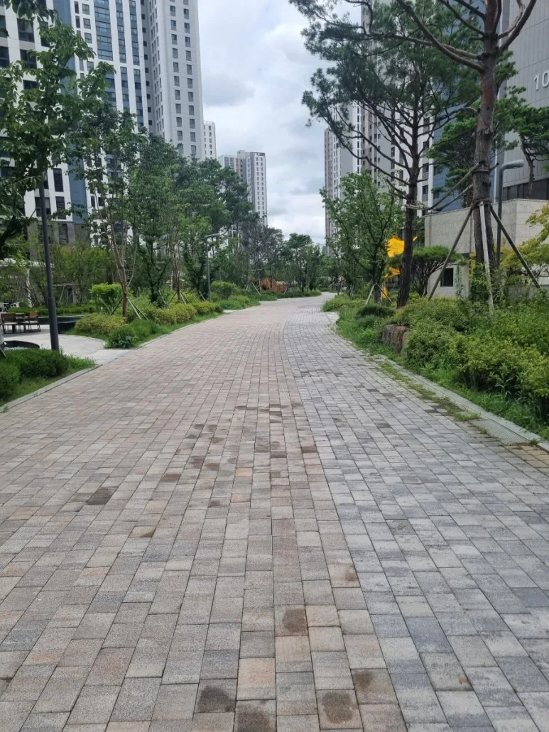 20240727%EF%BC%BF122456.jpg?type=w773