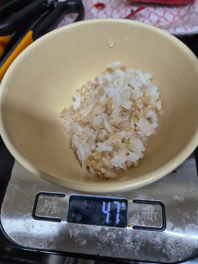 900%EF%BC%BF20250305%EF%BC%BF184015.jpg?type=w773