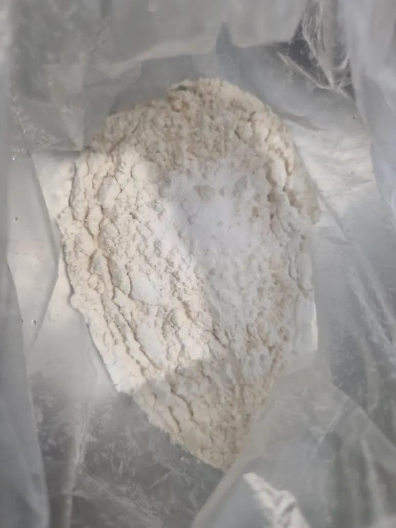 20240821%EF%BC%BF174714.jpg?type=w773