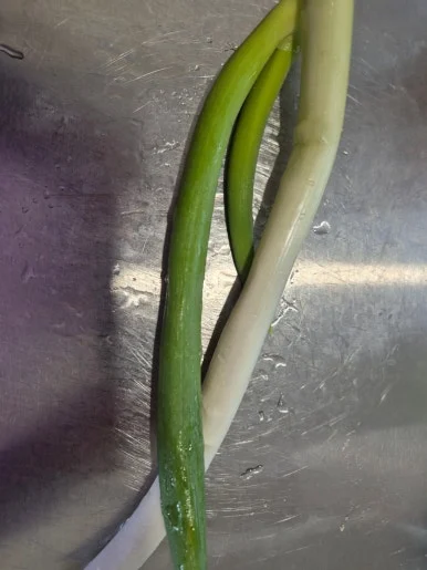 900%EF%BC%BF20241218%EF%BC%BF122152.jpg?type=w386