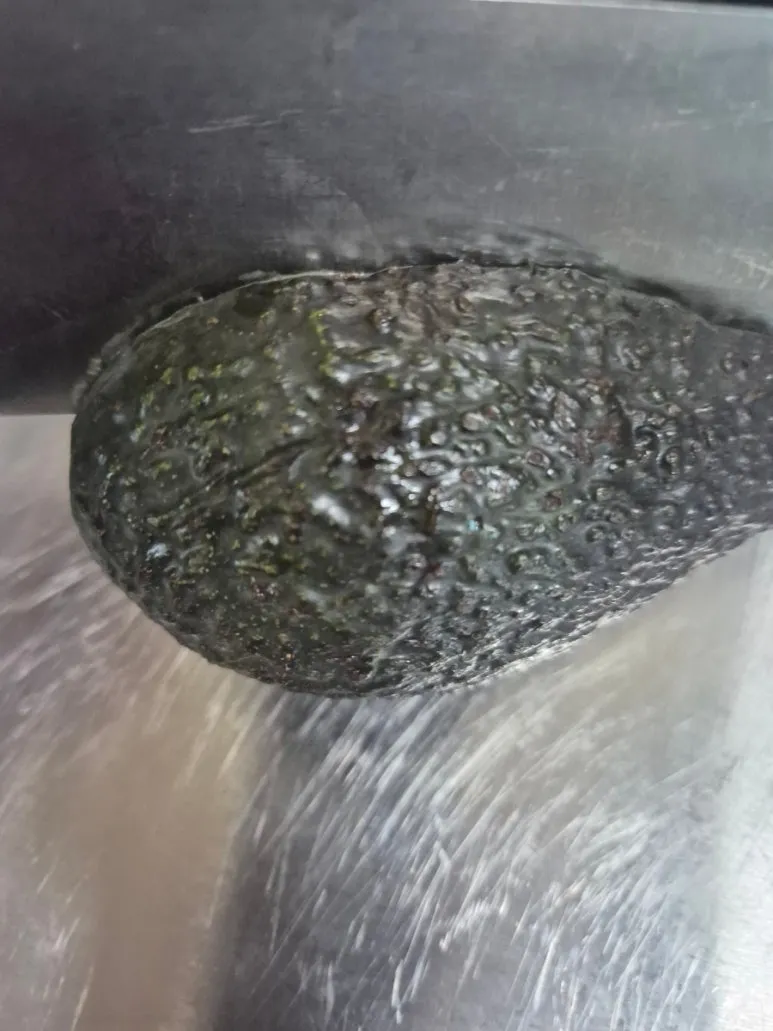 900%EF%BC%BF20250513%EF%BC%BF122330.jpg?type=w773