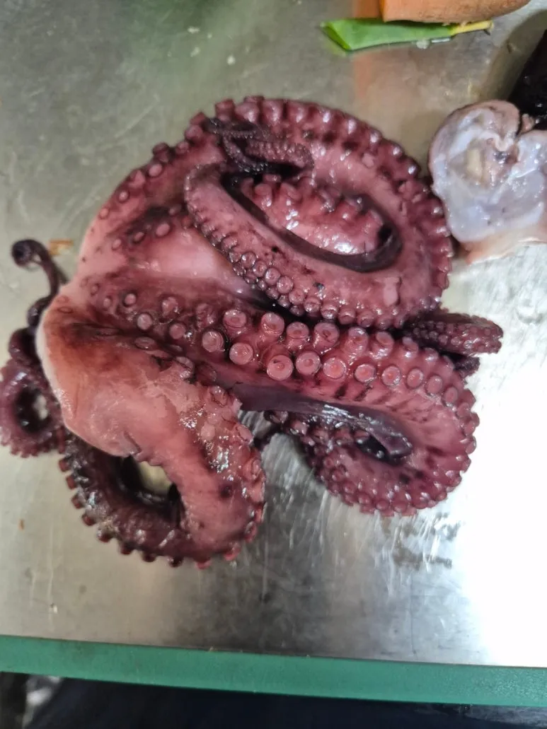 900%EF%BC%BF20250611%EF%BC%BF182033.jpg?type=w773