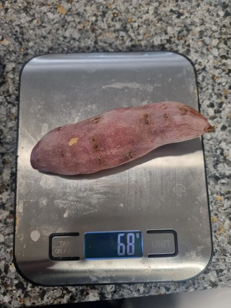 20240827%EF%BC%BF151856.jpg?type=w773