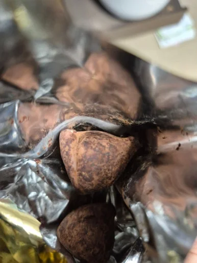 900%EF%BC%BF20250105%EF%BC%BF161249.jpg?type=w386