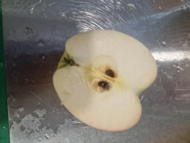 20241014%EF%BC%BF175231.jpg?type=w386