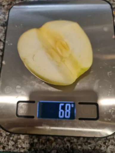 20240916%EF%BC%BF182456.jpg?type=w386