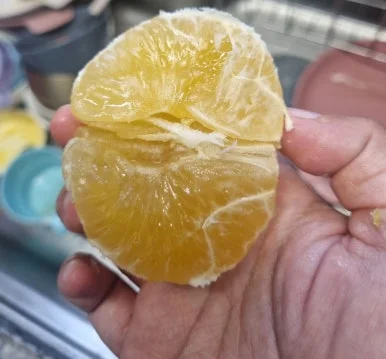 SE-e364b20e-704b-11ef-bfce-f73deb7200c4.jpg?type=w386