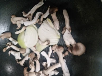 20241101%EF%BC%BF121743.jpg?type=w386