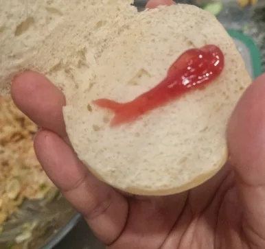 SE-985e88ca-93f4-11ef-a8e3-25e19cf76ced.jpg?type=w386