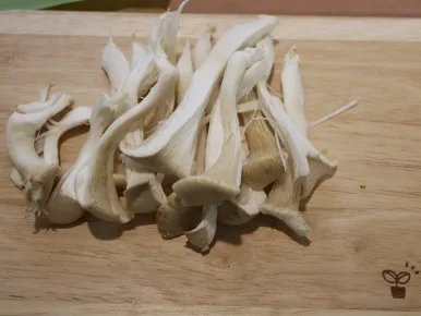 20240521025921%EF%BC%BFIMG%EF%BC%BF7853.JPG?type=w386