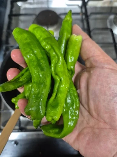 900%EF%BC%BF20250406%EF%BC%BF183454.jpg?type=w386