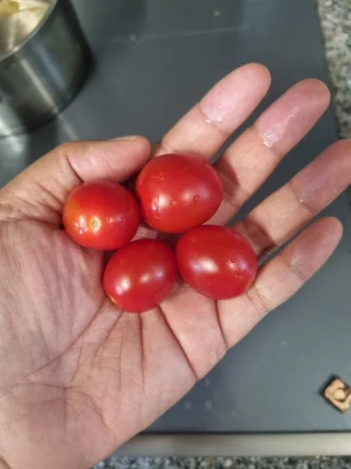 20240617%EF%BC%BF174520.jpg?type=w386