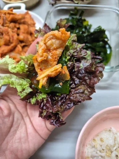 900%EF%BC%BF20250104%EF%BC%BF183639.jpg?type=w386