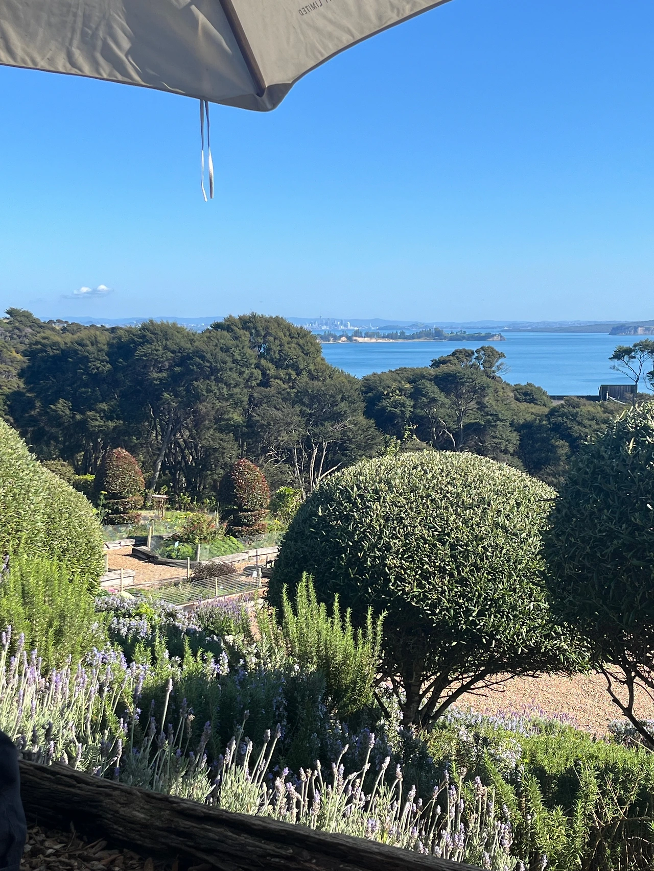 KakaoTalk_Photo_2024-07-18-08-08-03 007.jpeg