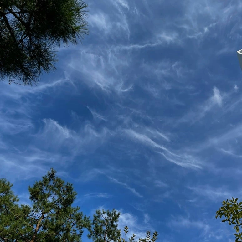 img.jpg?credential=yqXZFxpELC7KVnFOS48ylbz2pIh7yKj8&expires=1756652399&allow_ip=&allow_referer=&signature=o2sny727l%2FbjpGjFfJPk6O9Ms0Q%3D