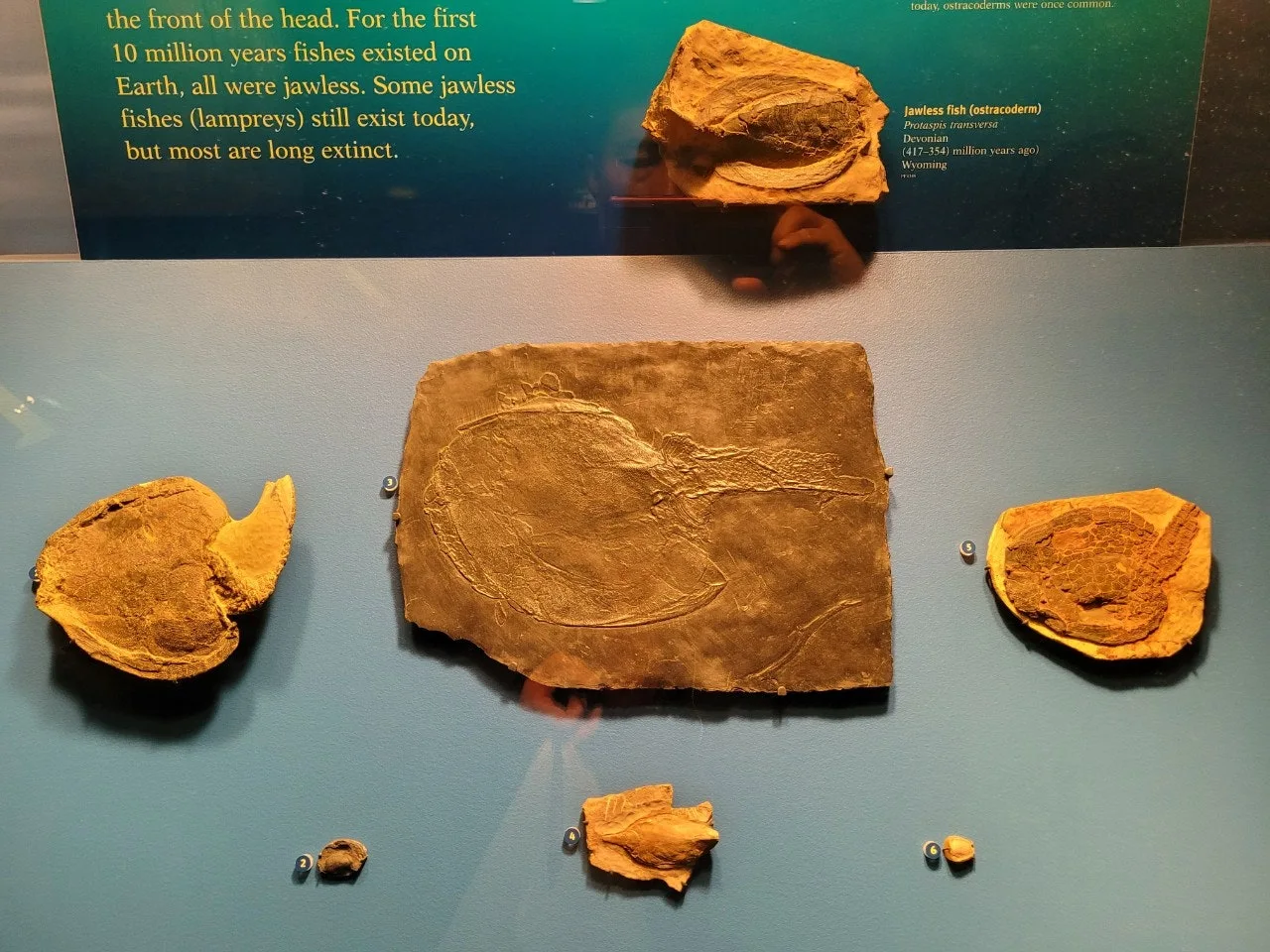 2_8aeUd018svc1edw0speaixx1_o81ygz.jpg?type=e1920_std