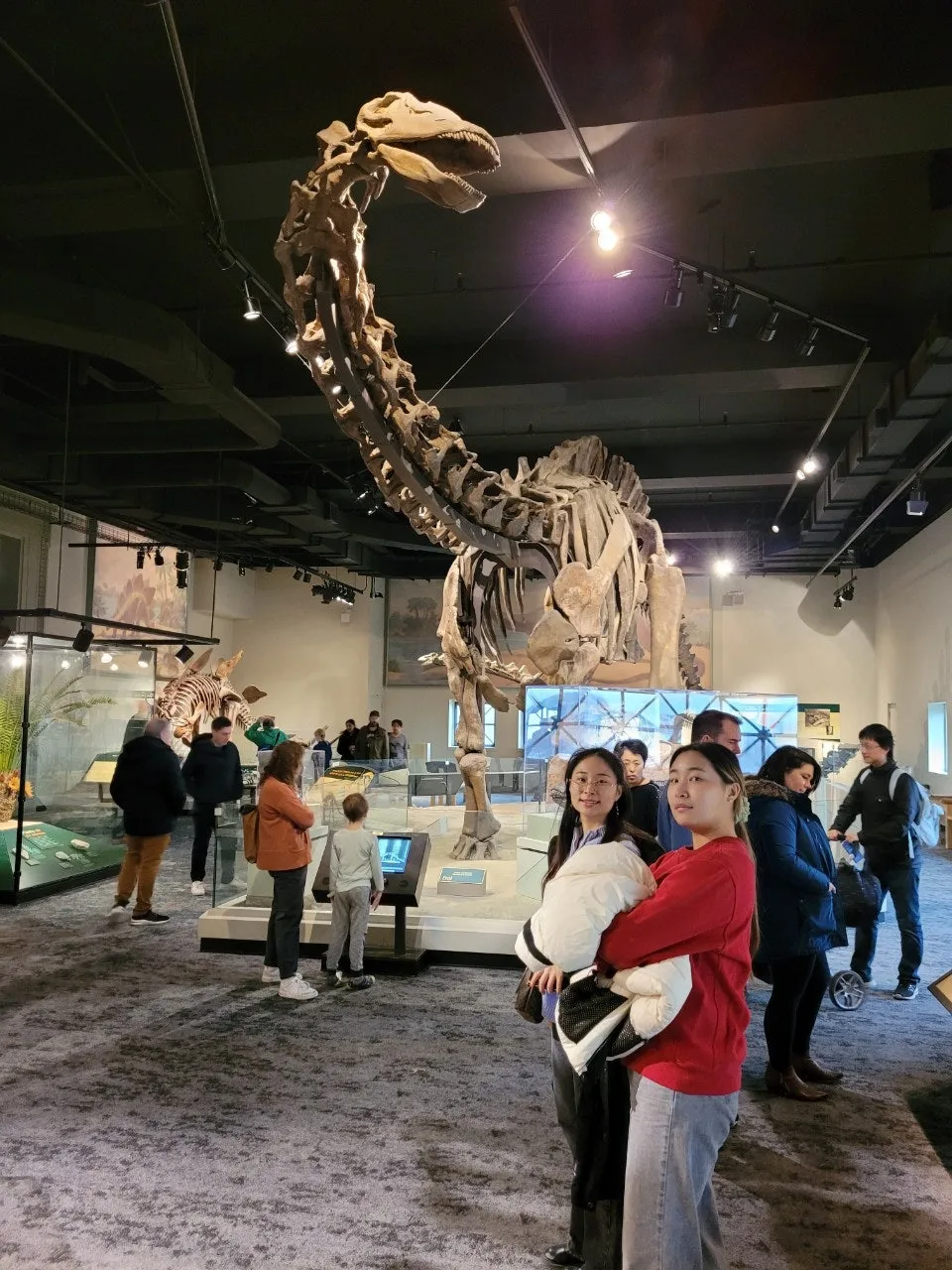 2_7aeUd018svc1id4u9jzklhkv_o81ygz.jpg?type=e1920_std