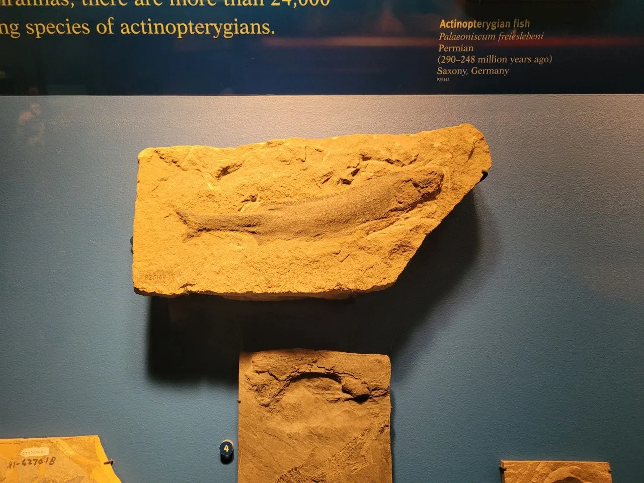 2_baeUd018svc1g3p7rky5gkky_o81ygz.jpg?type=e1920_std